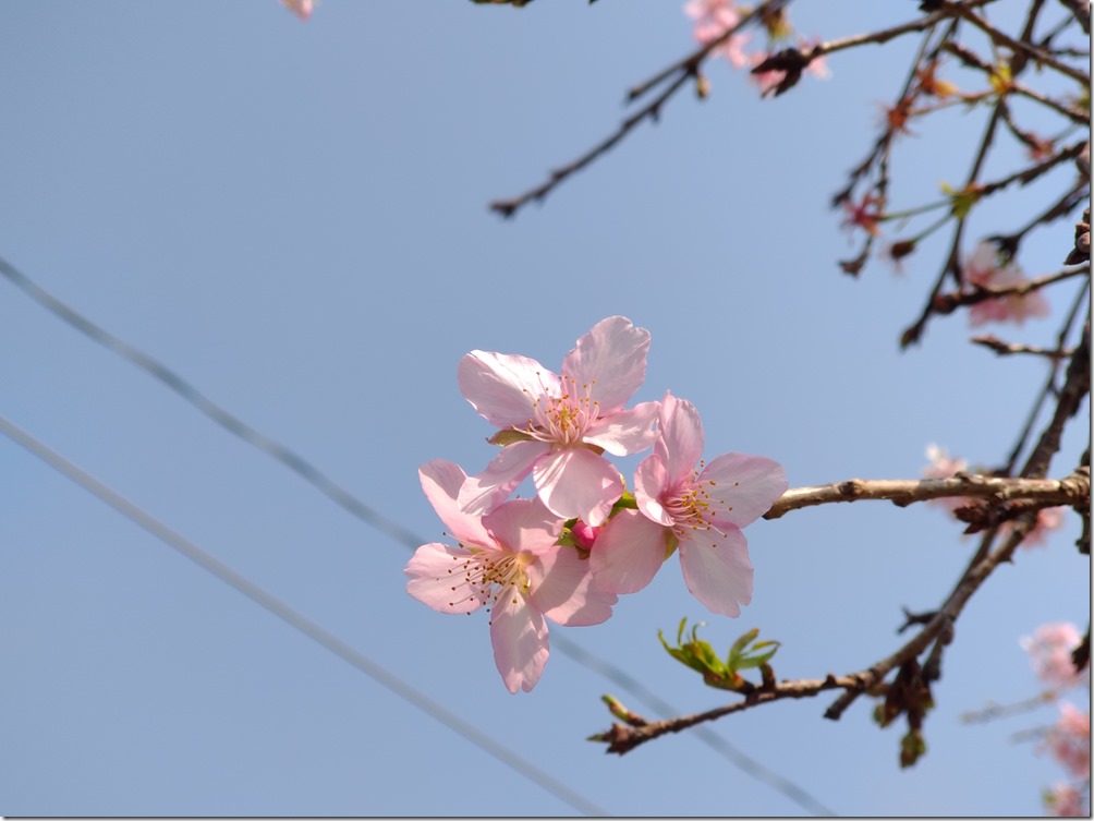 P_20170219_102705_vHDR_Auto