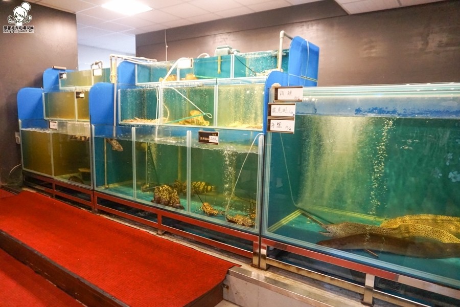 九鼎蒸霸 蒸鮮料理 蒸鍋 熱炒 新鮮 海鮮 聚餐 包廂-07092.jpg