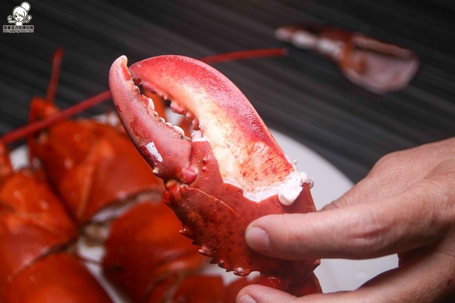 九鼎蒸霸 蒸鮮料理 蒸鍋 熱炒 新鮮 海鮮 聚餐 包廂-0928.jpg