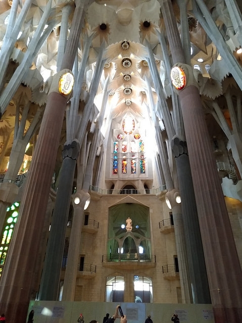 P_20170302_091745_vHDR_Auto