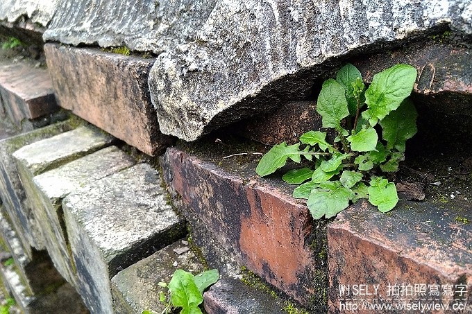 《3C開箱文。華碩手機》ASUS ZenFone 3 Zoom:親子旅行隨手拍@F1.7大光圈2.3X光學鏡頭,1+1雙鏡頭遇見美一刻 《3C開箱文。華碩手機》ASUS ZenFone 3 Zoom:親子旅行隨手拍@F1.7大光圈2.3X光學鏡頭,1+1雙鏡頭遇見美一刻