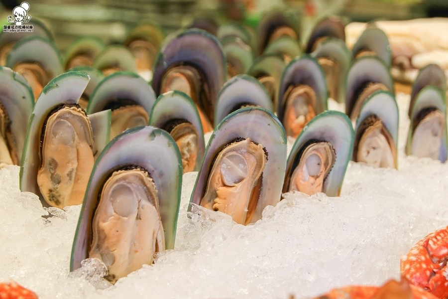 饗食天堂 吃到飽 高雄 大遠百 捷運 聚餐 節慶-5077.jpg