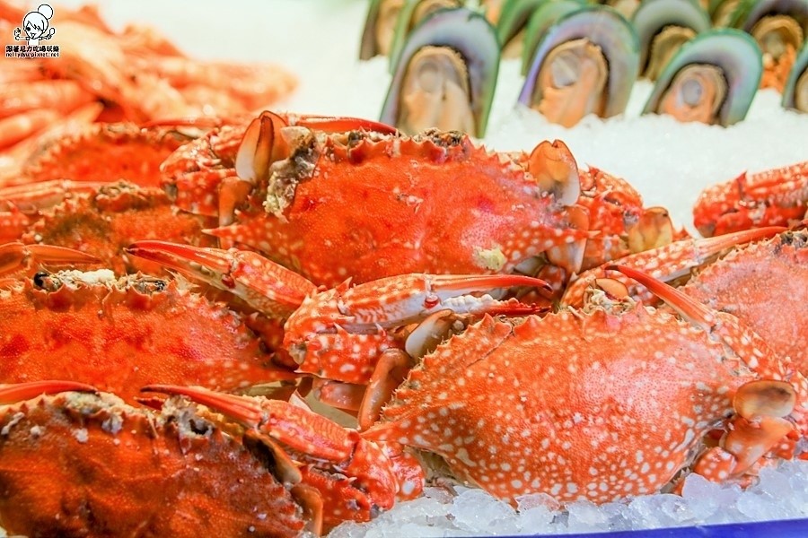 饗食天堂 吃到飽 高雄 大遠百 捷運 聚餐 節慶-5084.jpg