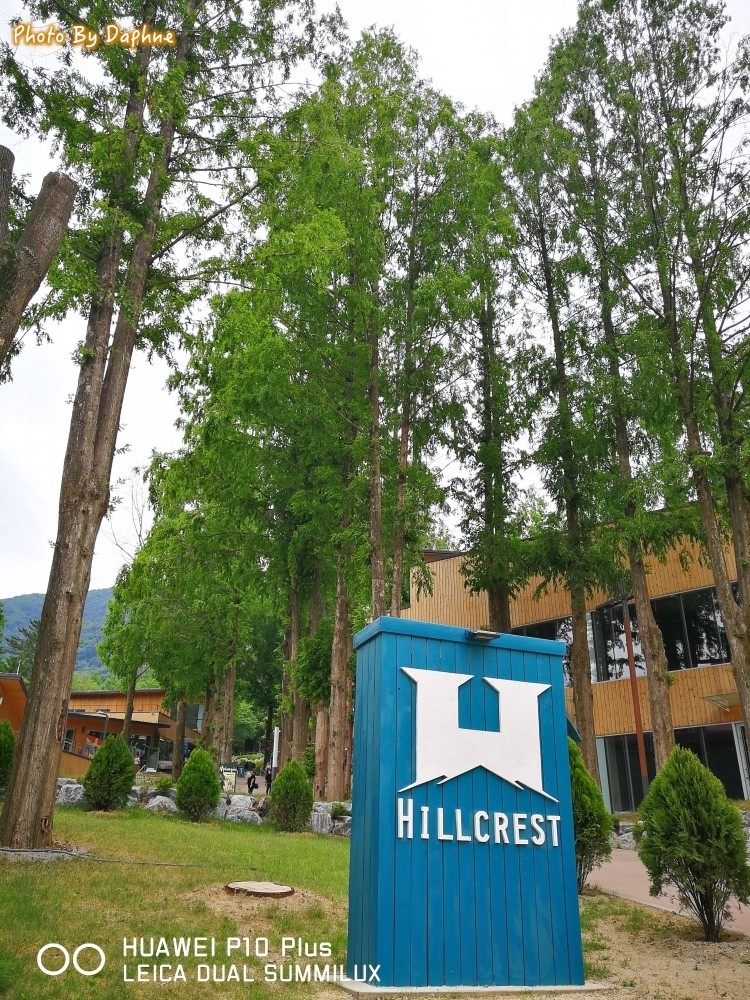 韓國大邱 香草之丘 童趣 刺激 浪漫 適合全家同遊的景點 在山區享受大邱的夏日香氣