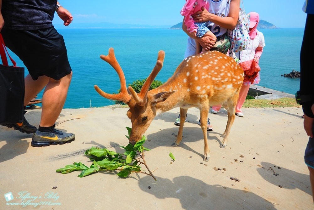 馬祖四天三夜懶人包--南北竿/南竿+北竿好吃好玩美食景點一次收錄(文末贈禮)