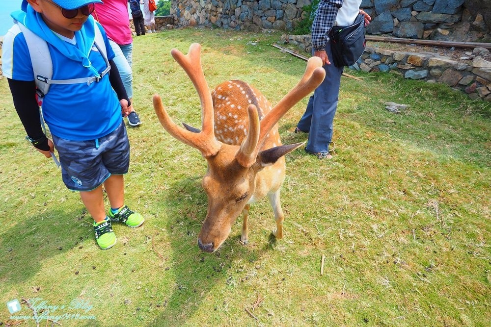 馬祖四天三夜懶人包--南北竿/南竿+北竿好吃好玩美食景點一次收錄(文末贈禮)