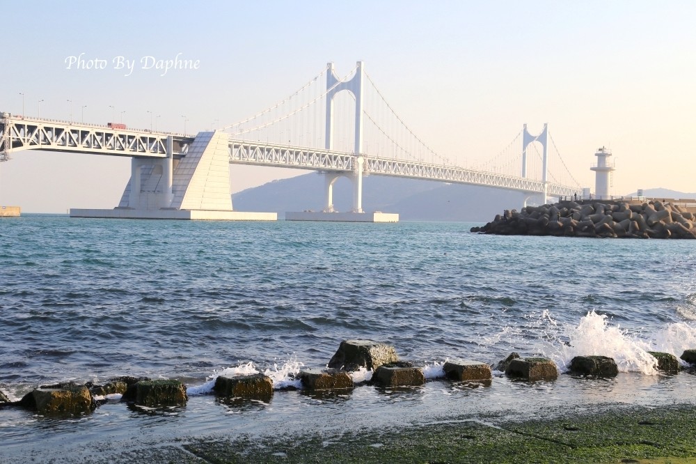 釜山 民樂水邊公園 跟在地人一起看海 野餐 喝燒酒