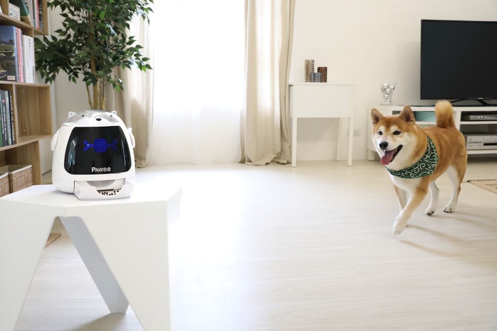 波寶（PAWBO）於IFA推出三款寵物智慧穿戴裝置