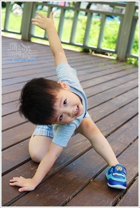 20170806-斑馬3_文興店24