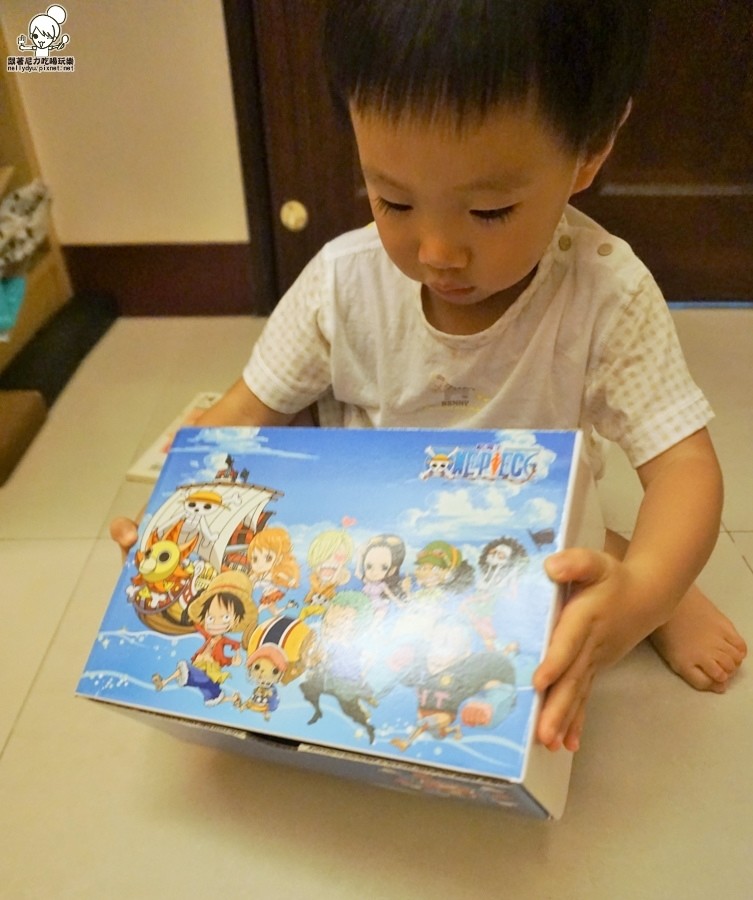 遠傳電信 航海王 限量 收納盒 行李箱 (7 - 13).jpg