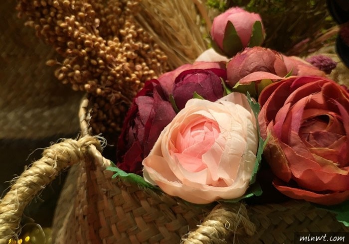 梅問題－APEXEL 讓所有手機都擁有2x望遠頭，無球狀變形與四周虛化和暗角