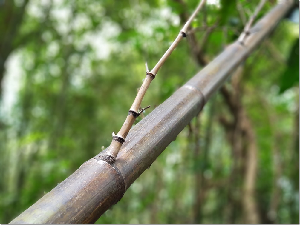 2017-08-27 12.36.57 2017-08-27 12.36.57