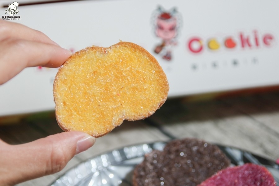 DoGa香酥脆椒  Rainbow Cookie 彩虹脆片 台南 (19 - 27).jpg