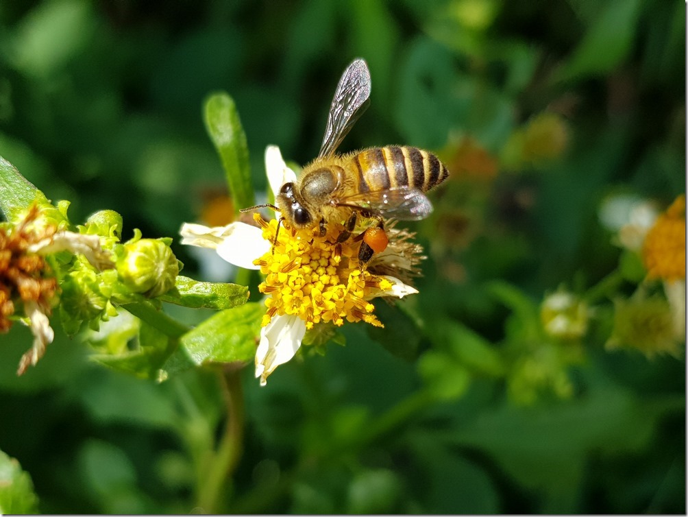 Galaxy Note 8 _030 Galaxy Note 8 _030