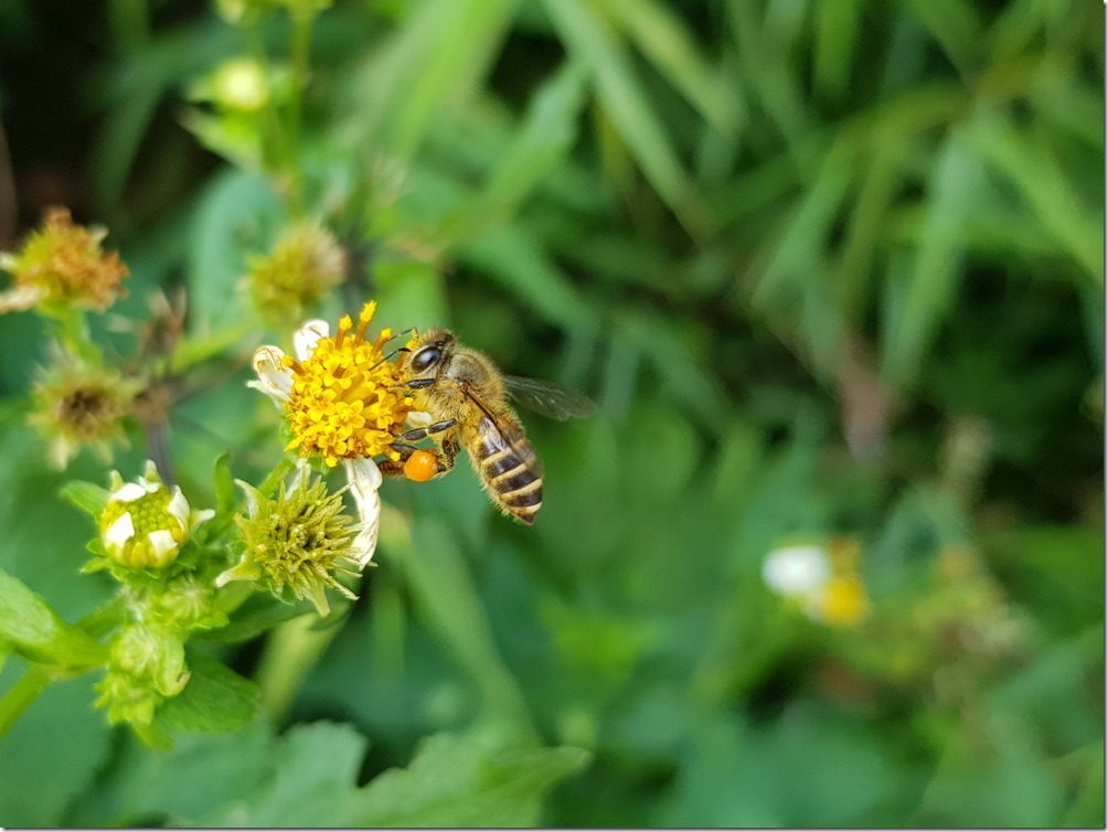 Galaxy Note 8 _031 Galaxy Note 8 _031