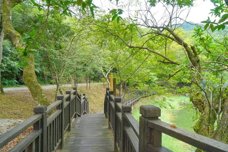 花蓮萬榮紅葉之旅-08