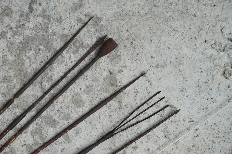 花蓮萬榮紅葉之旅-46