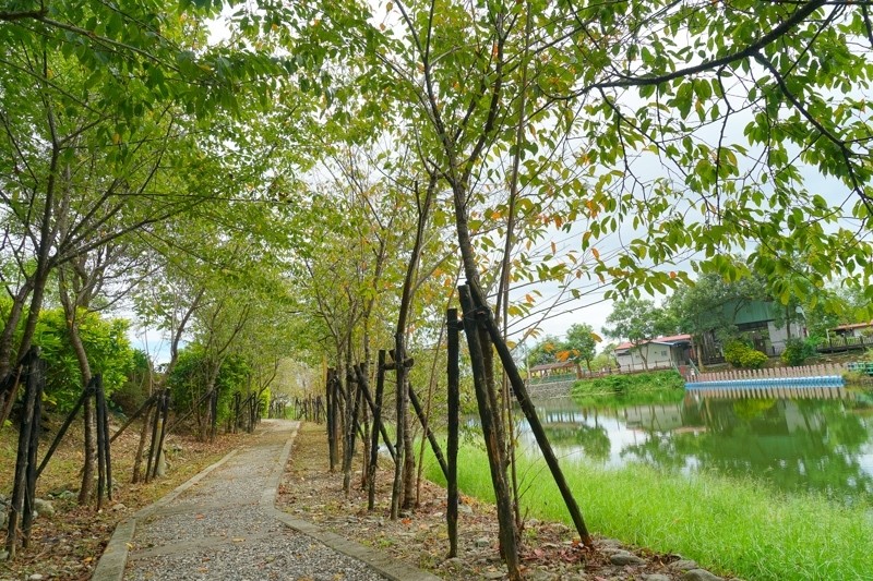 花蓮萬榮紅葉之旅-09