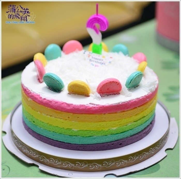 20170818-四隻貓31