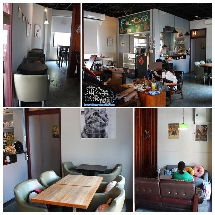 20170818-四隻貓04