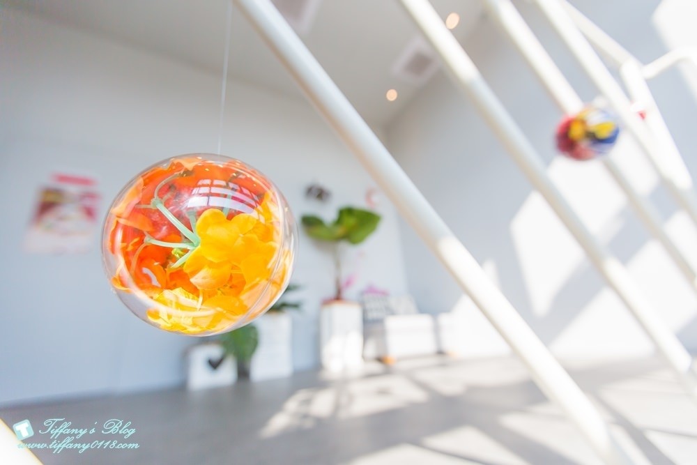 [台中火鍋]鍠樂極上和牛海鮮鍋物/聖誕節套餐限時預定中/台中公益路美食/IG打卡花牆(有免費停車場)