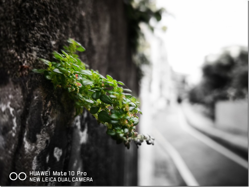 IMG_20171212_110604_1