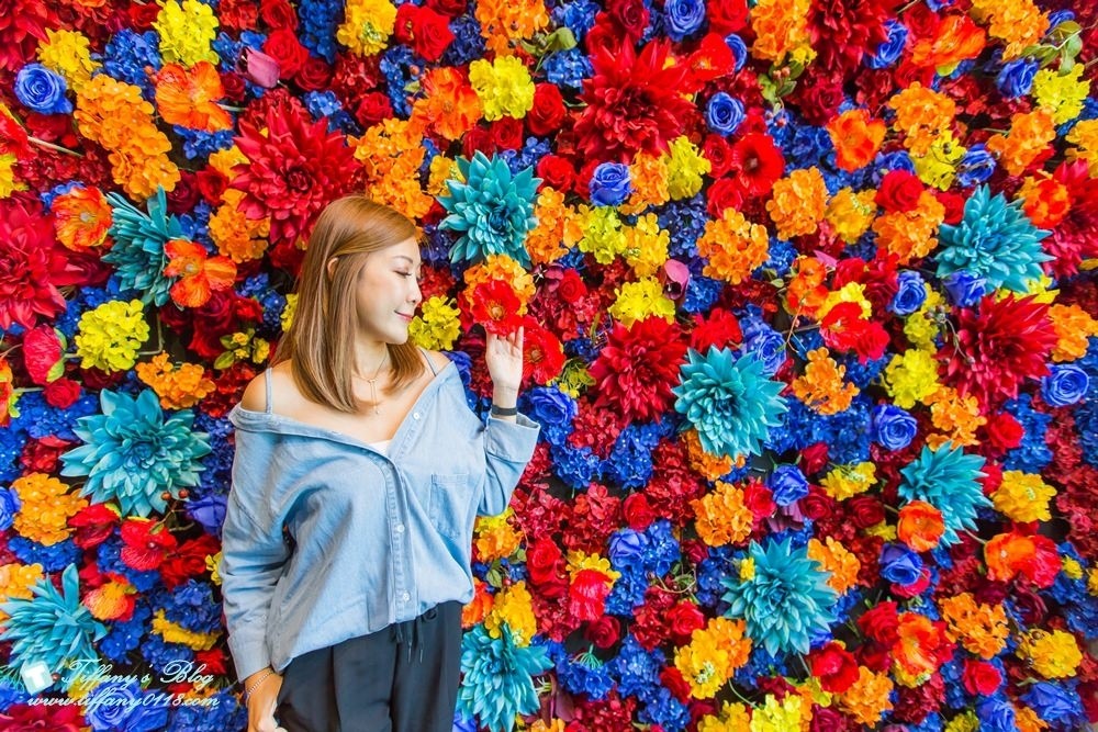 [台中火鍋]鍠樂極上和牛海鮮鍋物/聖誕節套餐限時預定中/台中公益路美食/IG打卡花牆(有免費停車場)