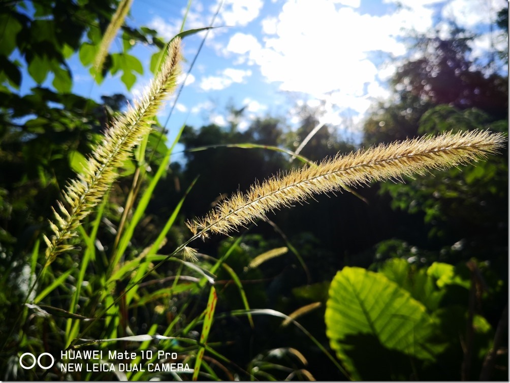 2017-12-03 14.29.50_compressed