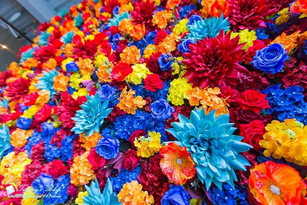 [台中火鍋]鍠樂極上和牛海鮮鍋物/聖誕節套餐限時預定中/台中公益路美食/IG打卡花牆(有免費停車場)