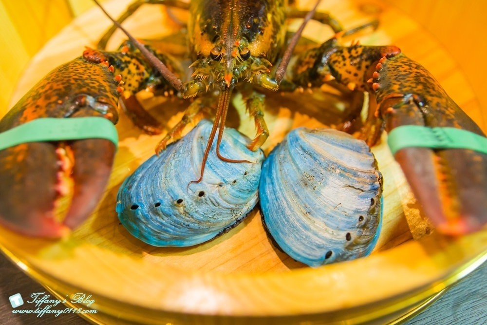 [台中火鍋]鍠樂極上和牛海鮮鍋物/聖誕節套餐限時預定中/台中公益路美食/IG打卡花牆(有免費停車場)