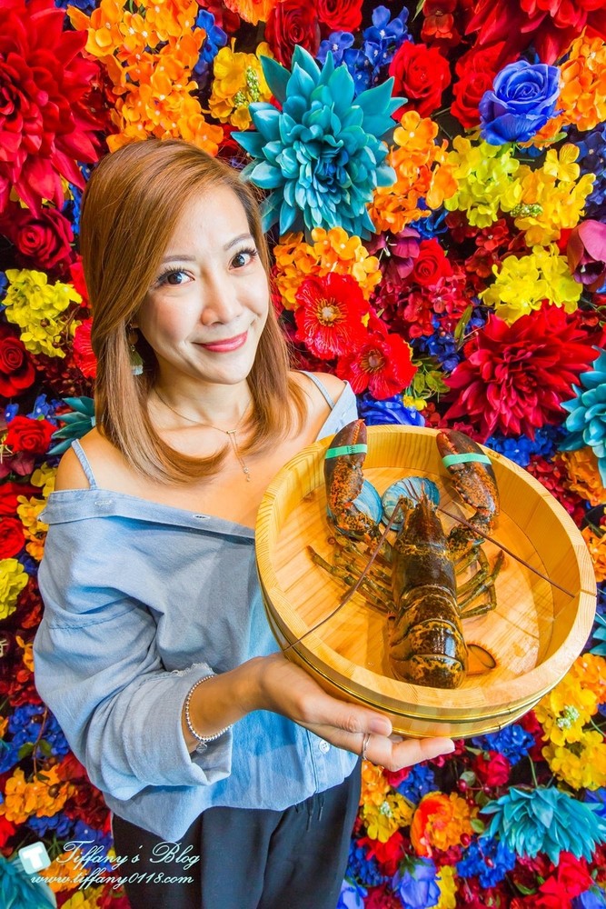 [台中火鍋]鍠樂極上和牛海鮮鍋物/聖誕節套餐限時預定中/台中公益路美食/IG打卡花牆(有免費停車場)