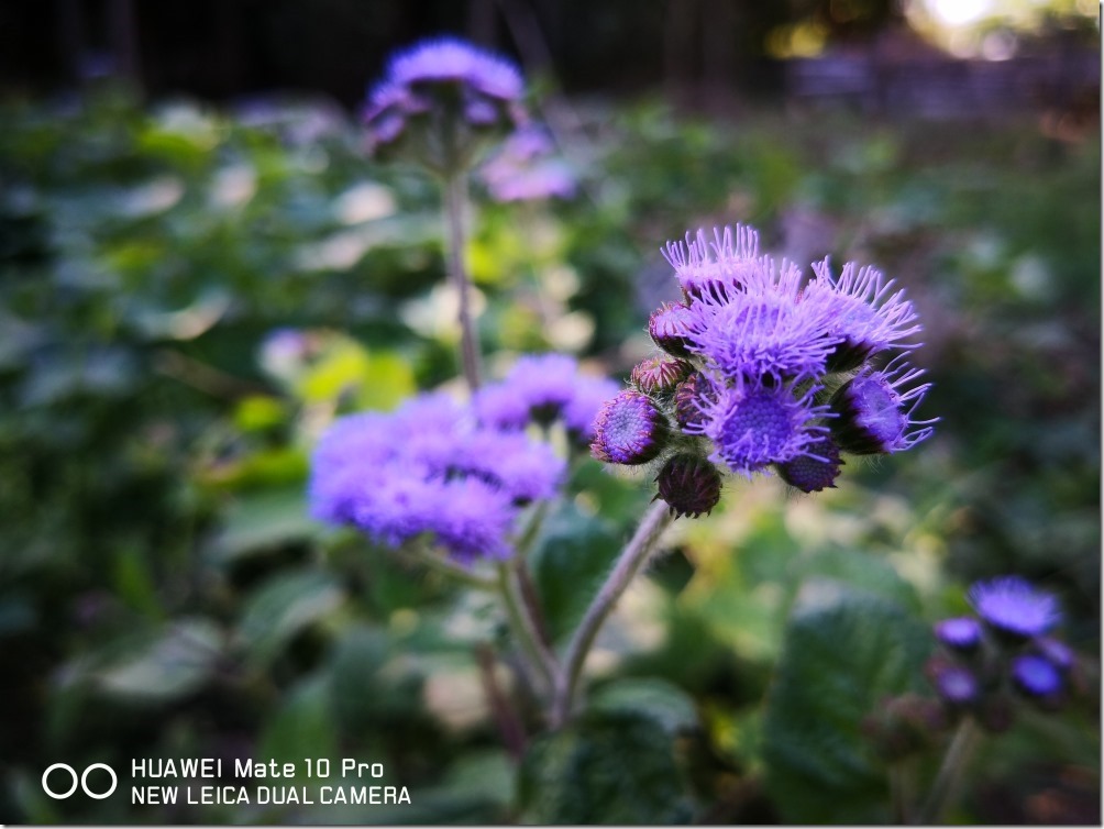 2017-12-03 14.19.55_compressed