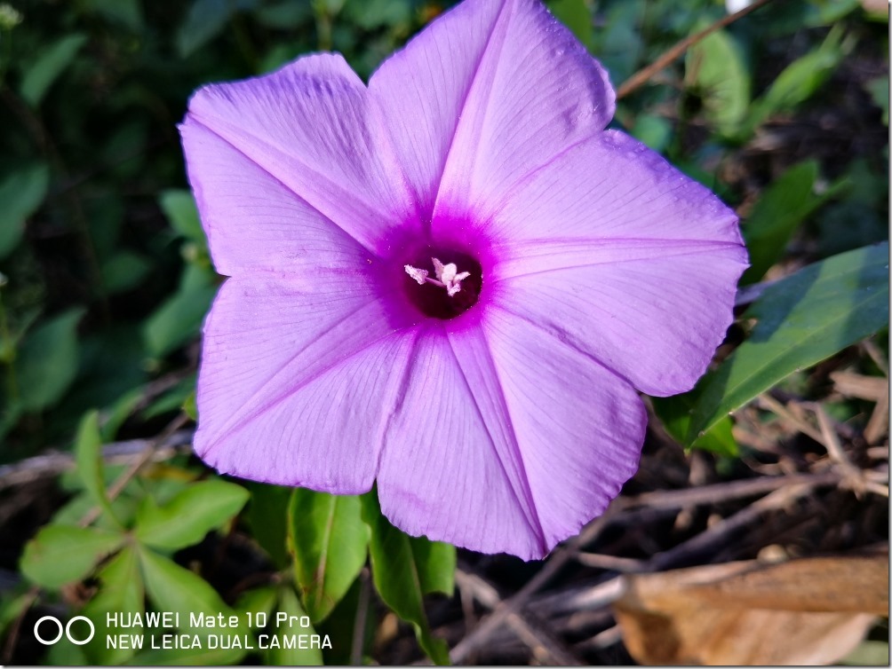 2017-12-03 14.30.23_compressed