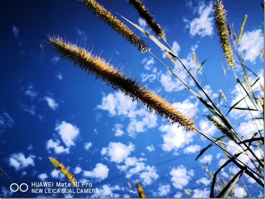 2017-12-03 14.36.30_compressed