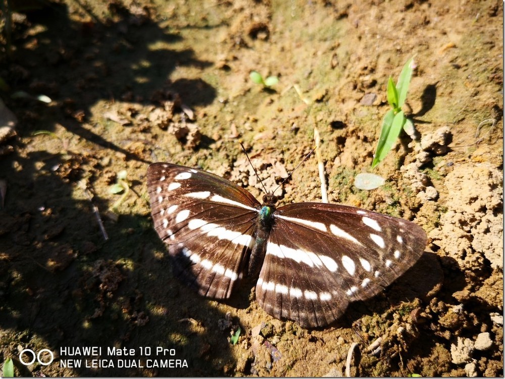 2017-12-03 14.16.19_compressed