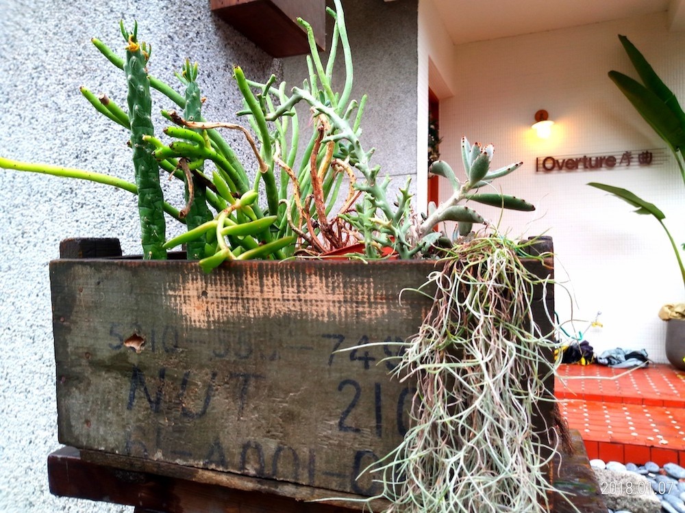 ASUS ZenFone Max Plus (M1)