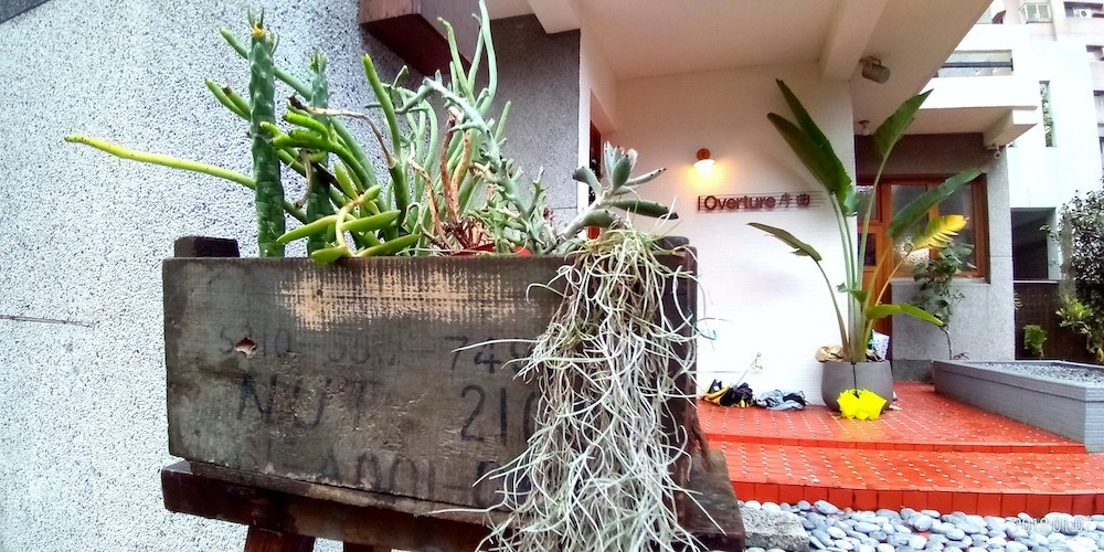 ASUS ZenFone Max Plus (M1)