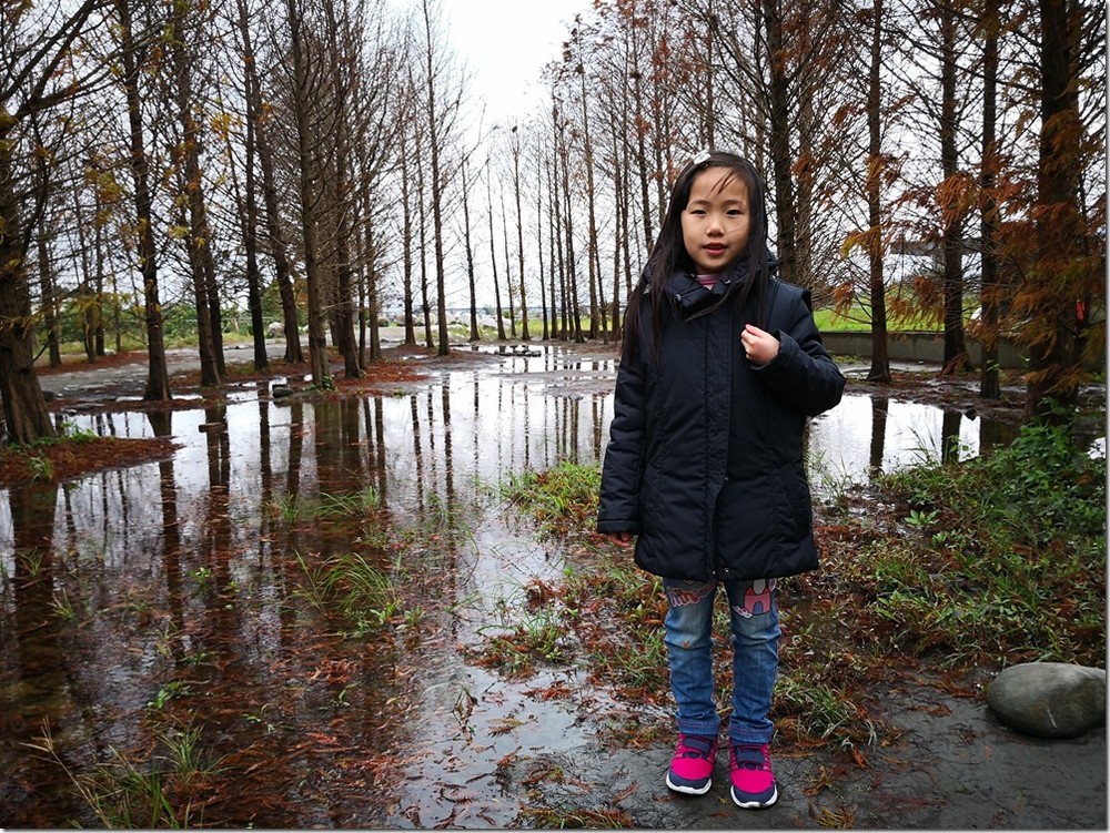 IMG_20180129_144226 IMG_20180129_144226