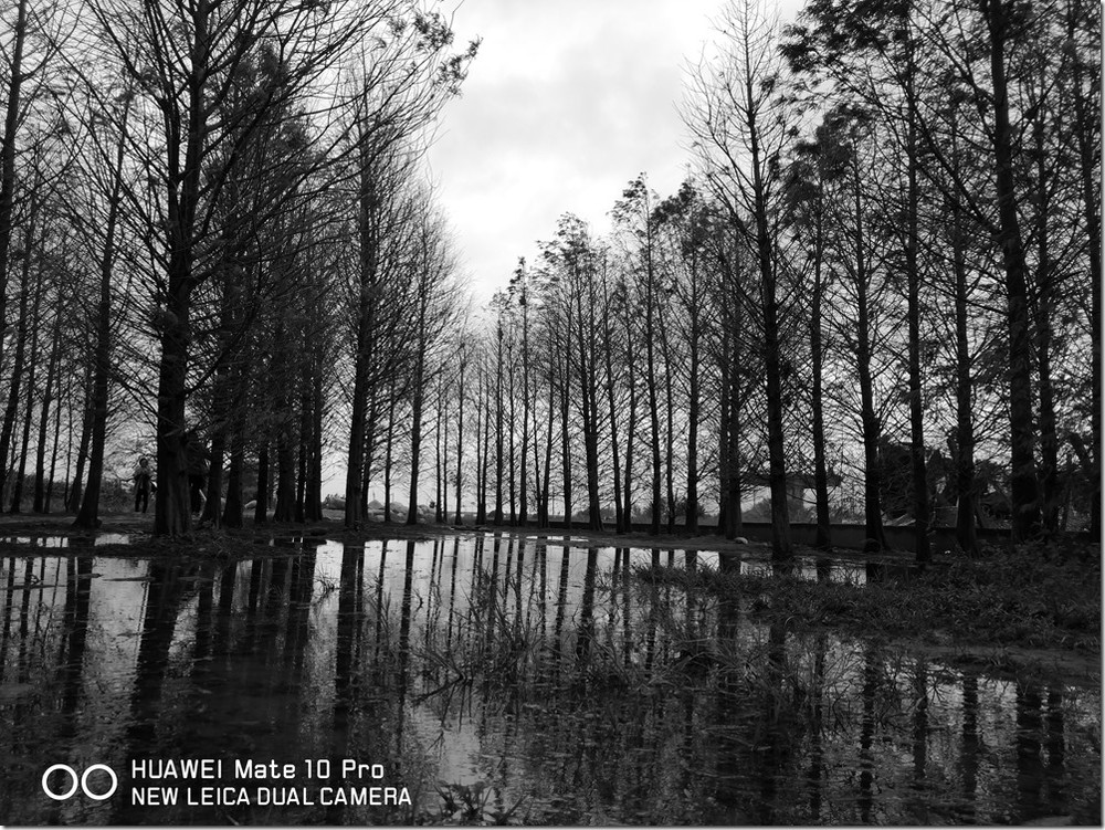 IMG_20180129_144108 IMG_20180129_144108