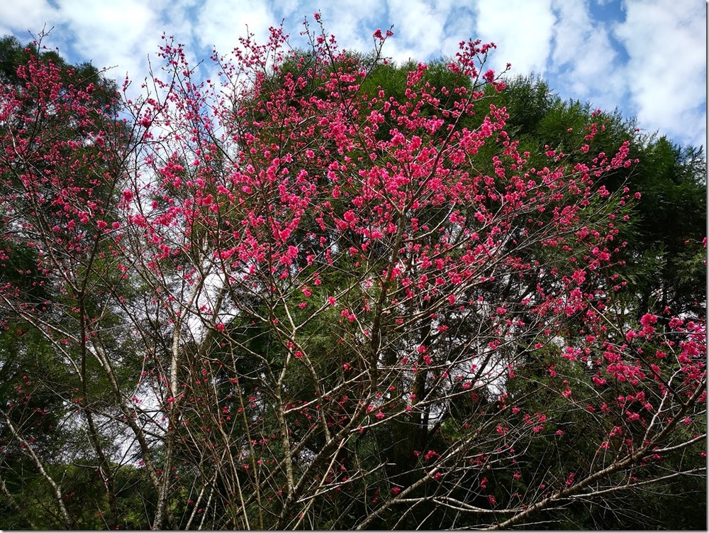 IMG_20180128_114119 IMG_20180128_114119