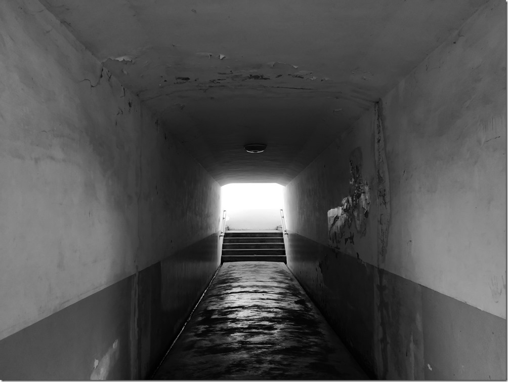 IMG_20180129_140004 IMG_20180129_140004