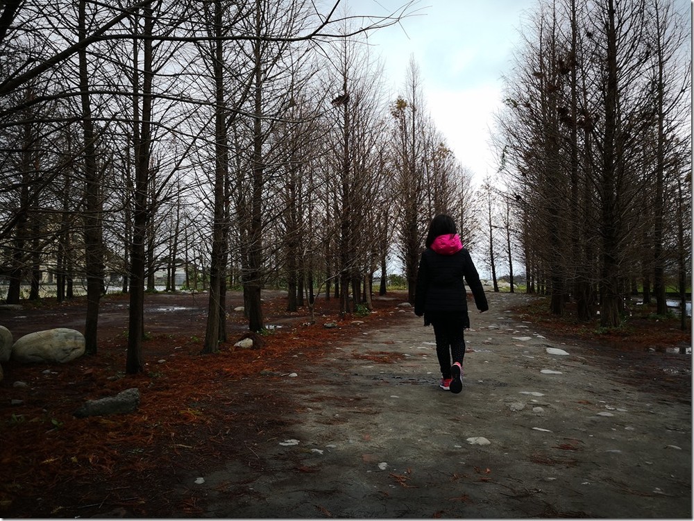 IMG_20180129_143833 IMG_20180129_143833