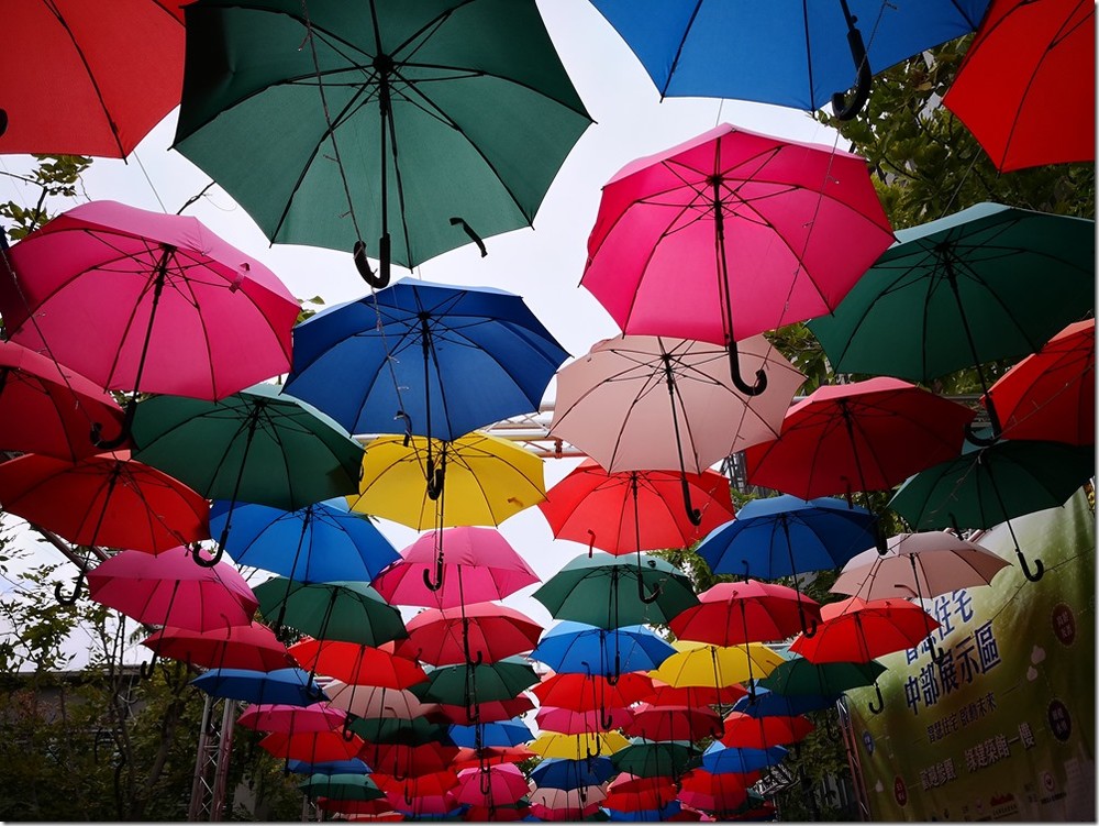 IMG_20180128_161727 IMG_20180128_161727