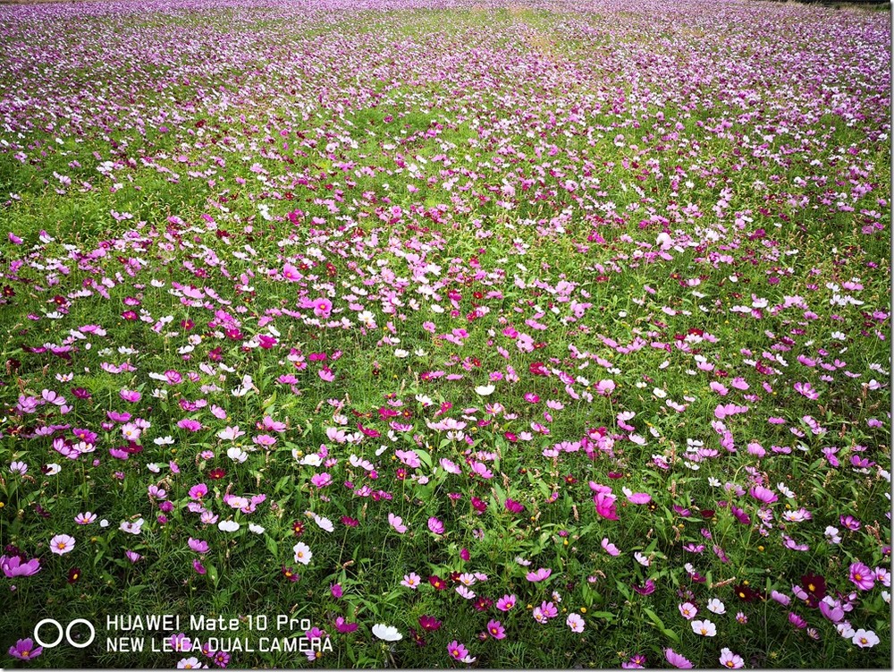 IMG_20180129_154824 IMG_20180129_154824