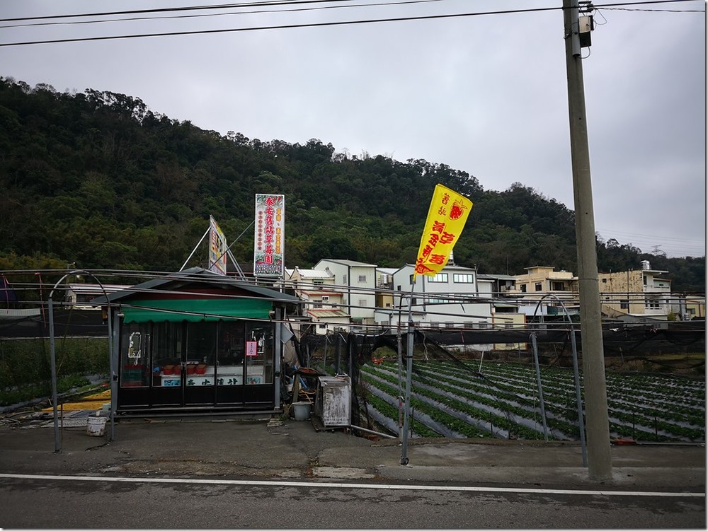 IMG_20180129_141903 IMG_20180129_141903