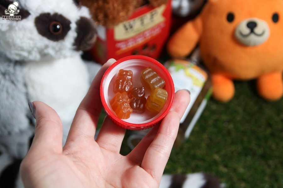 bronson 健康快樂熊綜合維他命軟糖 兒童維他命 營養素