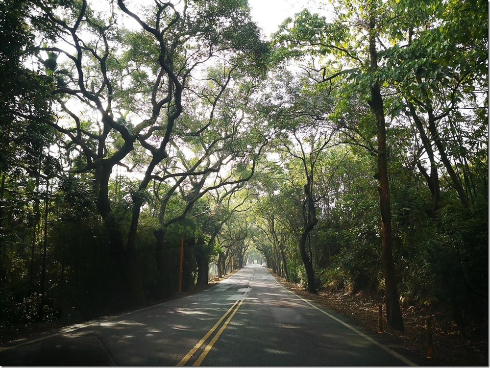 IMG_20180128_145457 IMG_20180128_145457