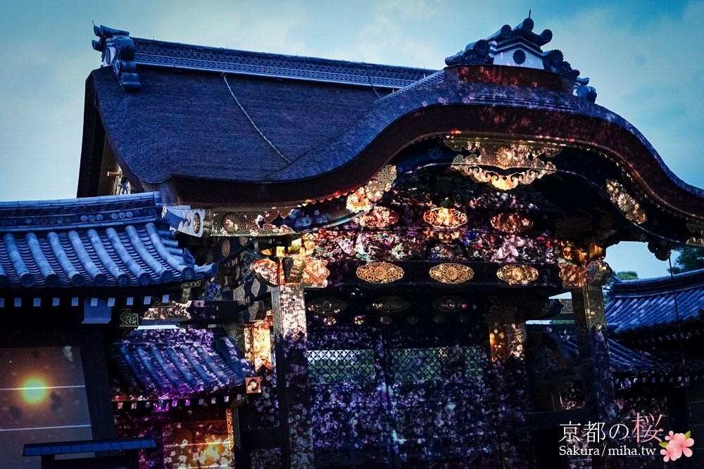 京都賞櫻,京都自由行,京都景點,二条城夜櫻,京都櫻花,京都賞櫻行程,京都飯店推薦