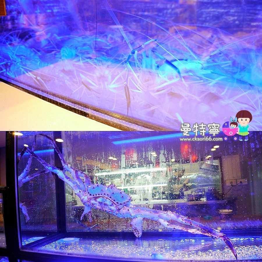 一品活蝦~創新特色泰國蝦料理~親子大空間餐廳