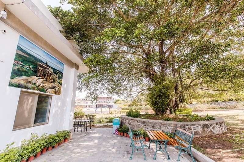 金門花海鹽田夕陽 (16)